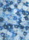 Arvo - Print - Amey Lai